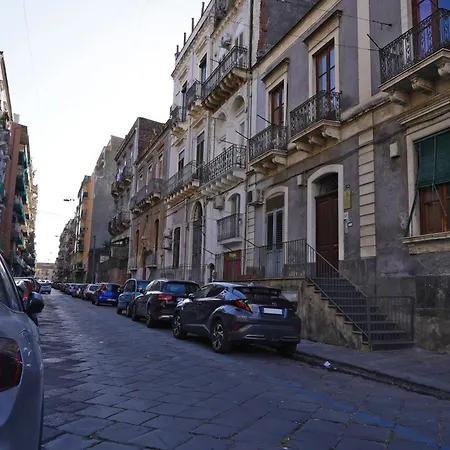 Np House * Катания